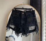 Wrangler Black Distressed Women Shorts Photo 0