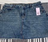 Jean Skirt Photo 0