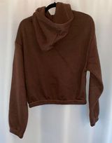 ZARA Brown Hoodie Photo 0