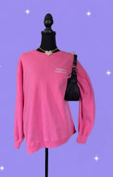 Hollister Y2K Pink Oversized Crewneck Pullover Logo Sweatshirt size small π Photo 0