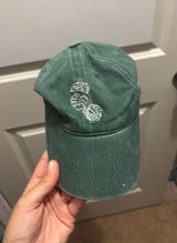 Plant hat Green Photo 0