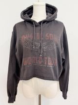 Hollister Cropped Graphic Hoodie Pullover Sweatshirt Loungewear Casual Small Photo 0