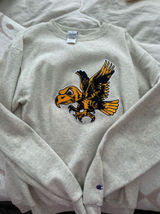 Iowa Hawkeyes Crewneck Champion Photo 0