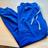 Jogger FIGS Pants Photo 0