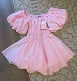 Pink Hello Molly Mini Dress Photo 0