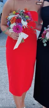 Amanda Uprichard Dress x Revolve Fae Midi Dress In Crimson Photo 0