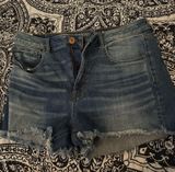 American Eagle Shorts Photo 0