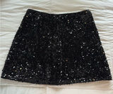 H&M Sequin Skirt Photo 0