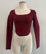 Aritzia Sculpt Knit Bustier Longsleeve 472 Photo 0