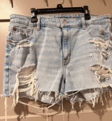 American Eagle Shorts Photo 0