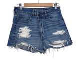 American Eagle Distressed Mom Shorts Photo 0