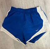 Dri-Fit Blue Shorts Photo 0