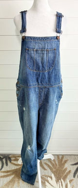 Ann Taylor Loft Distressed Blue Jean Denim Overalls Size L Photo 0