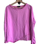 ALALA Revolve Cypher Distressed Sweatshirt Pink Pullover Small Photo 0