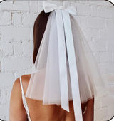 Wedding Veil Photo 0