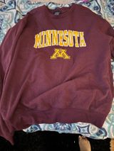 College Crewneck Colosseum Sweatshirt Photo 0