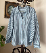 Zara Blue and Brown Striped Button Up Photo 0