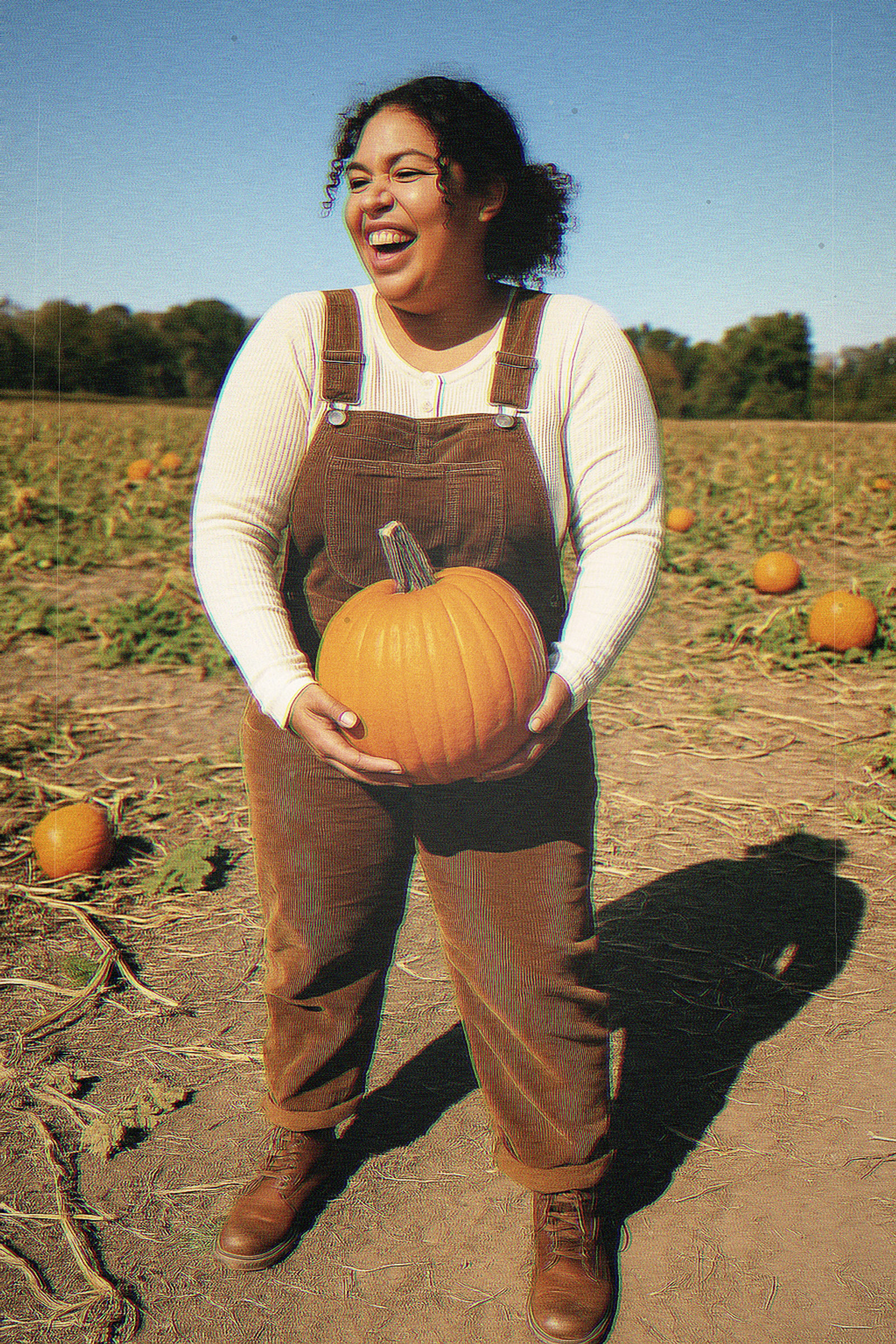 Pumpkin Patch