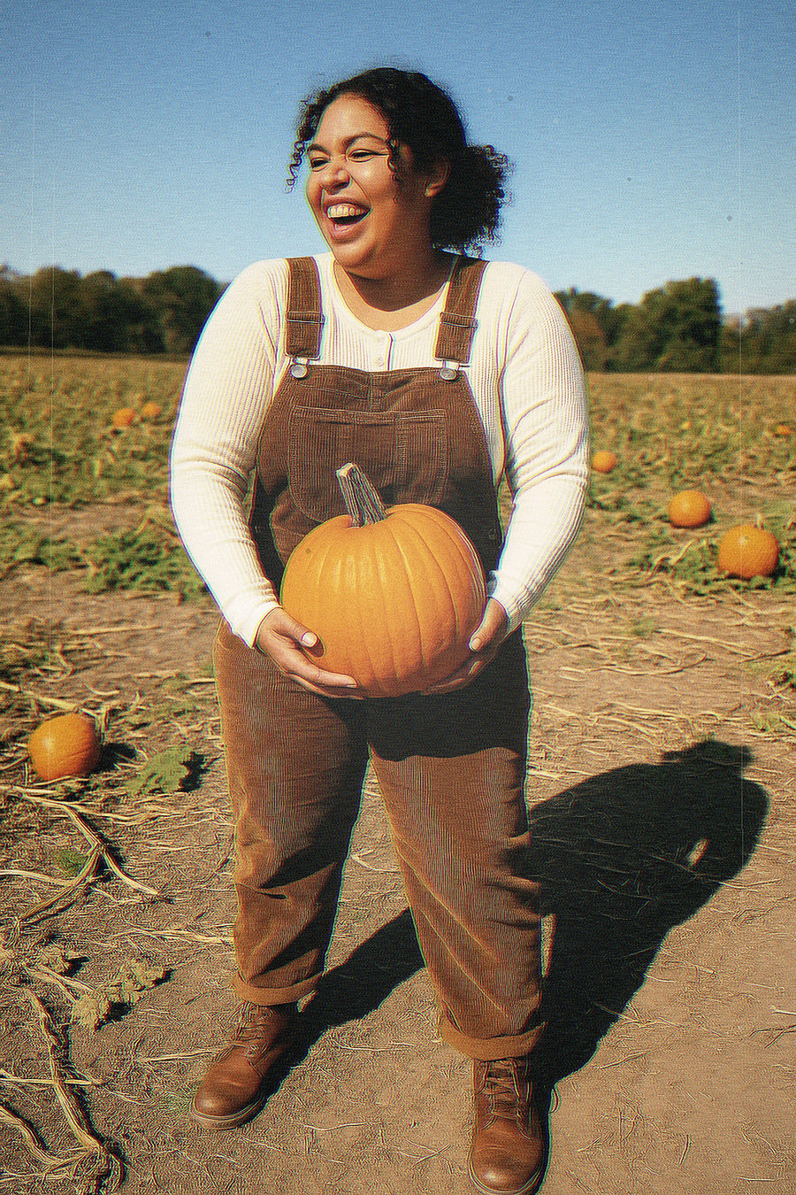 Pumpkin Patch